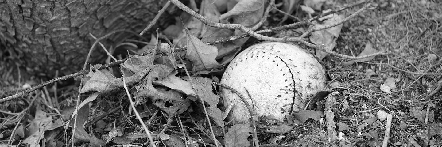 softball lost in leaves